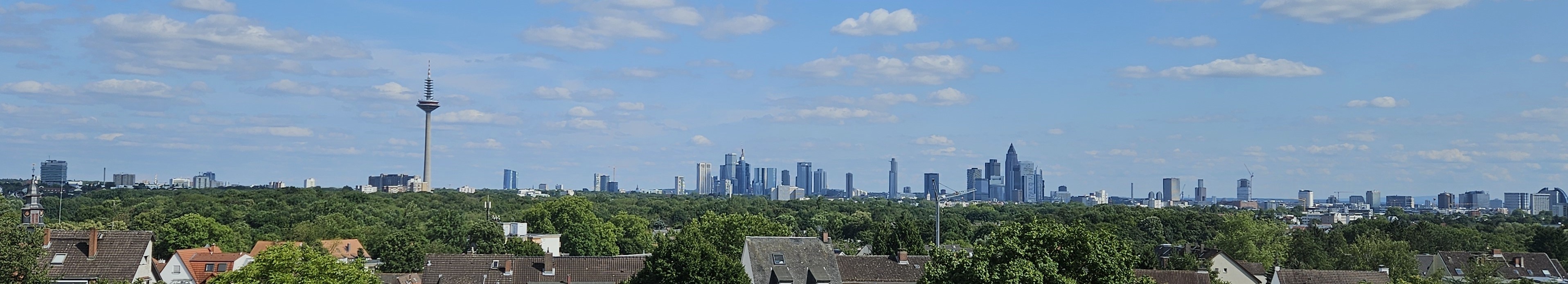 20250711_170540.jpg